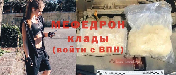 амф Гусев