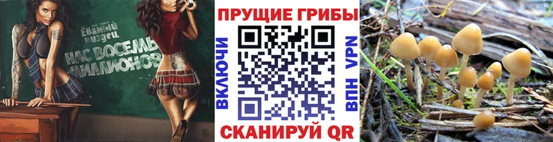 Галлюциногенные грибы GOLDEN TEACHER  Верхний Тагил 